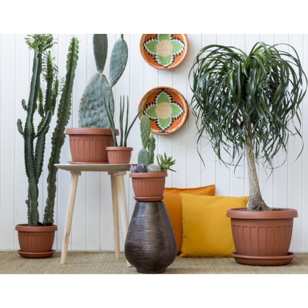 Vaso Terra Bama diametro 15 cm colore terracotta 