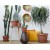Vaso Terra Bama diametro 15 cm colore terracotta 