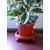 Sottovaso rotondo con ruote Bama diametro 35 cm colore terracotta