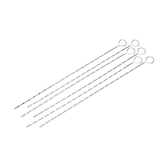 Spiedini a doppia punta senza manico (x6)