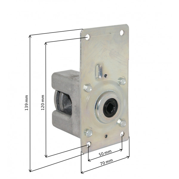Argano a fune interno BGM 50 kg ferro zincato Bolis Carlo