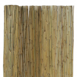 Canniccio arella canna passante 200x300 cm legato in...