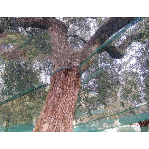 Telo rete raccolta olive 6 x 8 mt con apertura verde