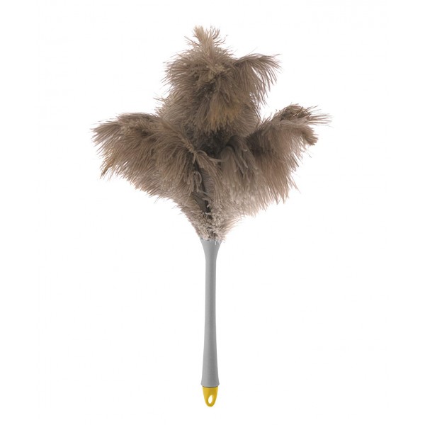 Piumi  struzzo 50 cm.
