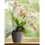 Portavaso Bama Paglia colore antracite diametro 14 cm