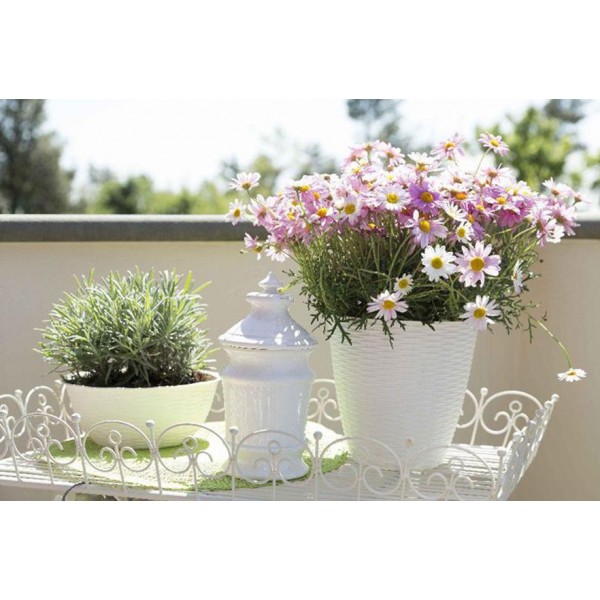 Portavaso Bama Paglia diametro 19 cm colore panna  