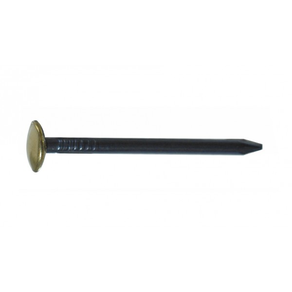 Chiodi acciaio t.r.o. ottonati 2x30 mm (100 pz)