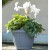 Vaso Terra Bama diametro 40 cm colore grigio