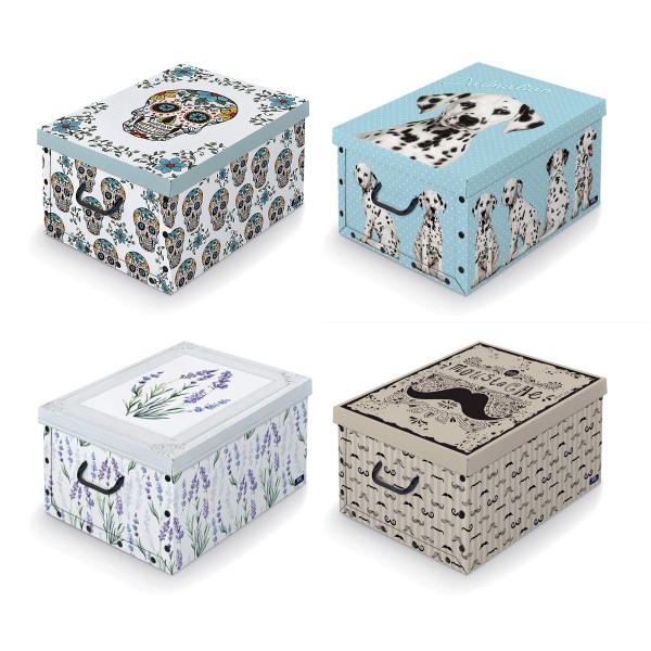 Scatola con maniglie domopak living mix a 914535 in cartone 39x50x24 cm varianti assortite