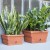 Fioriera da esterno Natura Bama con sottovaso 40,5x19x17,5 cm colore bianco