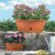 Fioriera da esterno Natura Bama con sottovaso 40,5x19x17,5 cm colore bianco