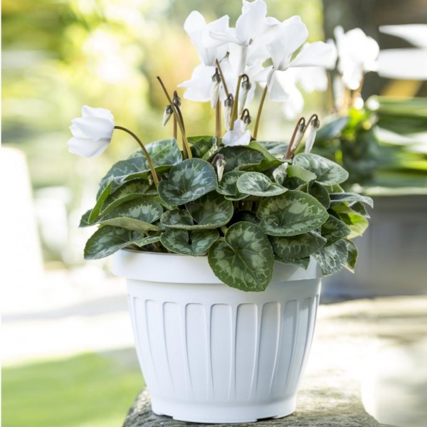 Vaso Terra Bama diametro 40 cm colore bianco 