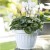 Vaso Terra Bama diametro 40 cm colore bianco 