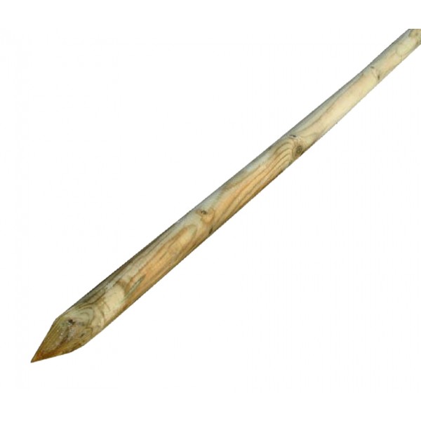 Palo c.punta fi 6x250