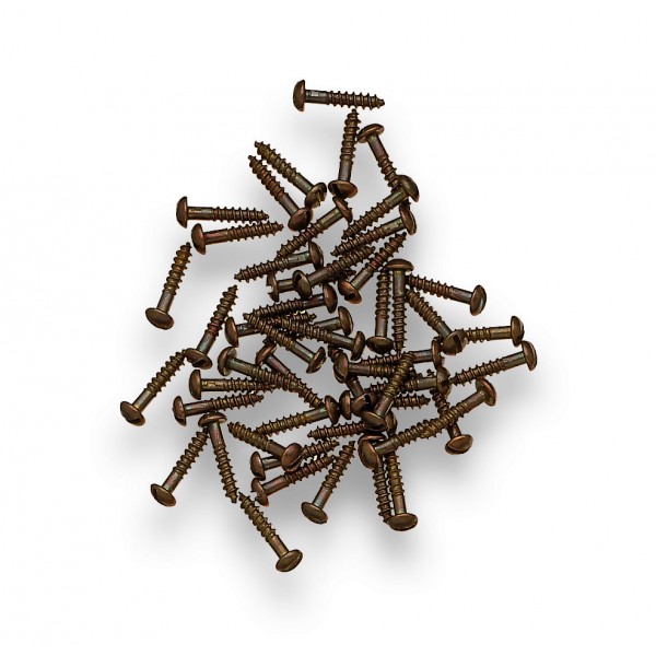 Viti testa tonda 2,5x20 mm bronzato (1000 pz)