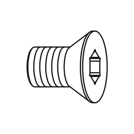 Vite tspti t9 m4x2x3,2 d6 (per teste 694-001)