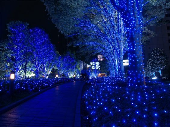 Luci di Natale per esterno 300 led bianco freddo blu 17 mt con controller
