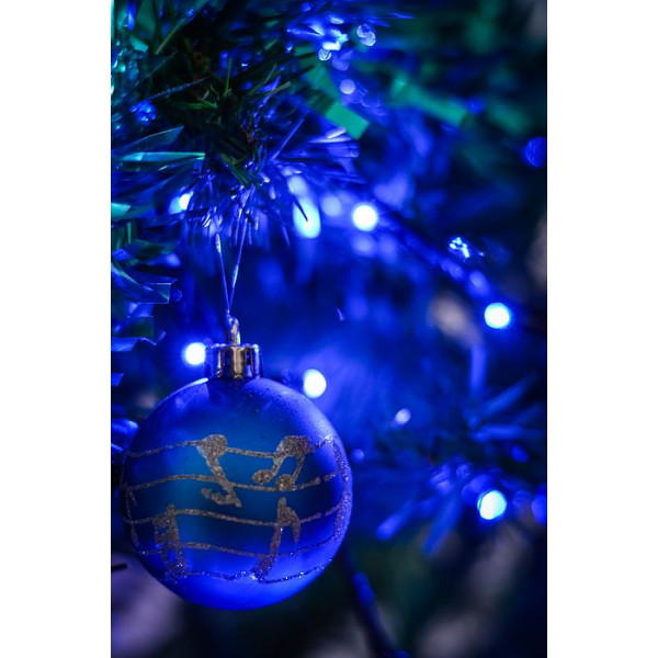 Luci di natale 1500 led bianco freddo/blu 60+5 mt 24v con controller