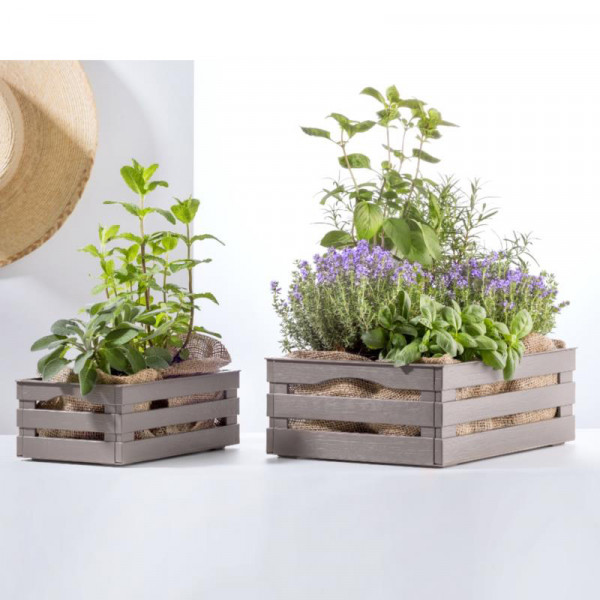 Cassetta milleusi tina 25x15,5x10 cm bama colori assortiti 
