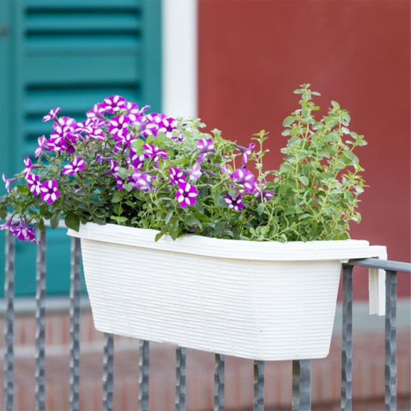 Fioriera da balcone Rondine Paglia Bama 60x20x18,5 cm colore panna