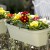 Fioriera da balcone Rondine Paglia Bama 60x20x18,5 cm colore panna