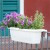 Fioriera da balcone Rondine Paglia Bama 60x20x18,5 cm colore panna