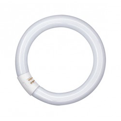 Lampadina fluorescente circolina a 40w gq10 l/neu.