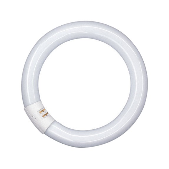 Lampadina fluorescente circolina a 40w gq10 l/neu.