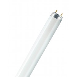 Lampadina fluorescente active l a 8w g5 l/neutra