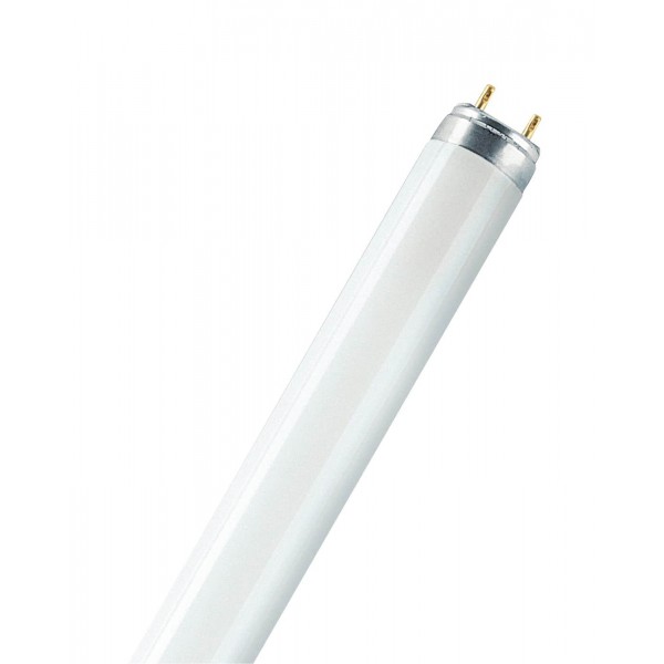 Lampadina led tubolare a+ 16,2/36w g13 l/neutra