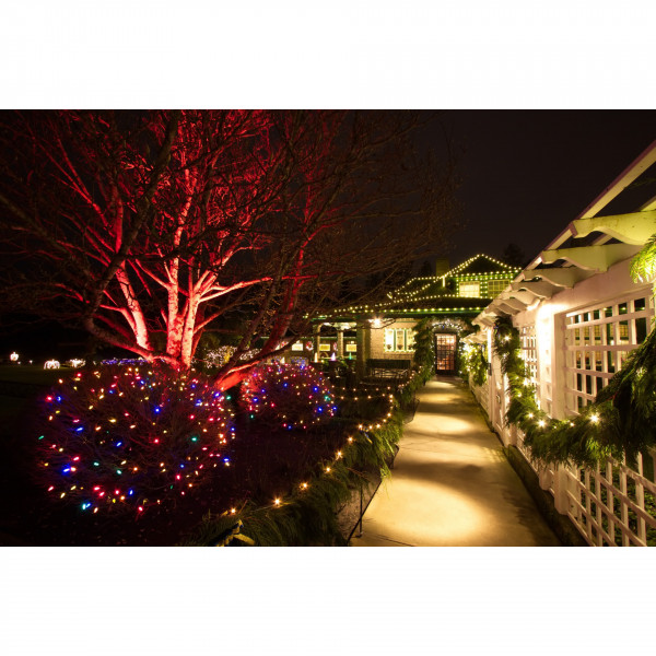Luci di Natale per esterno 300 led azzurro bianco caldo rosa 17 mt comprensivo di controller